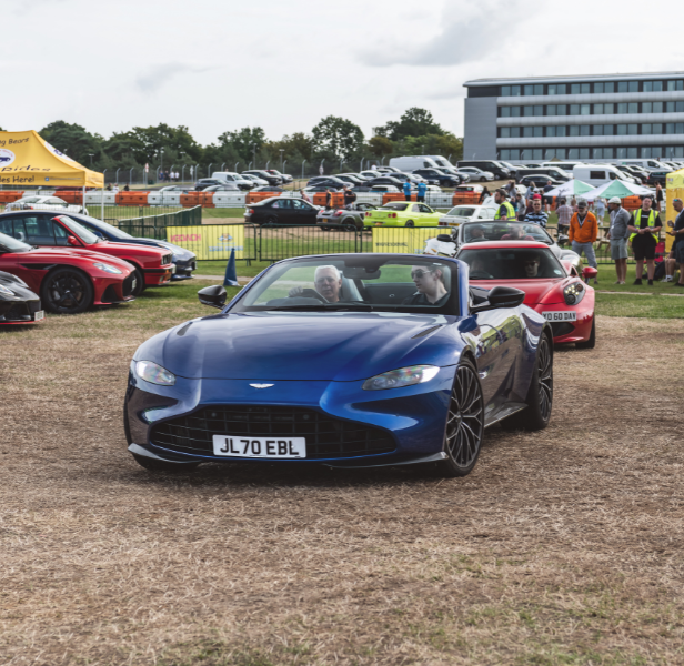 Sporting Bears Dream Rides